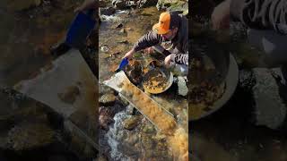 Juicy Bedrock and some heavies! Virginia Gold Prospecting 