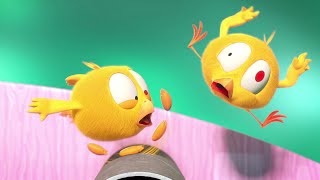 Chicky the acrobat | Where&#39;s Chicky?  | Cartoon Collection in English for Kids | New episodes