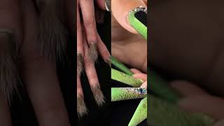 Muslim Girls Vs Non Muslim Girls