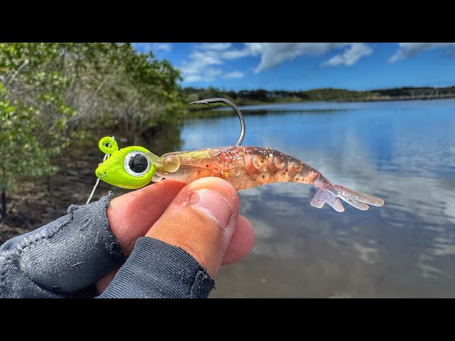 その他 Fragments Of A Rainy Seas Amazon.co.jp: Fragments of a Rainy Season: Music