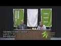 Cannabis Common Sense 951