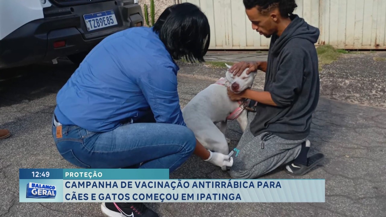 Proteção: Campanha de vacinação antirrábica para cães e gatos começou em Ipatinga.