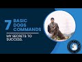 Basic Dog Training - Basic 7 Commands That Every Dog Must Known!