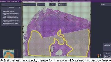 Stereo-seq OMNI for FFPE | Spatial Single-Cell Clustering Tutorial