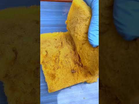 أسرع طريقة لإنبات البذور باسهل الطرق ج ١  