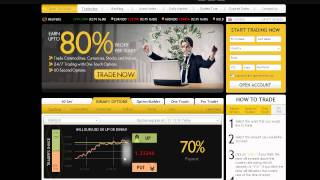 BeeOptions Demo
