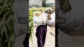 For the community living in Kunar, #Afghanistan, this irrigation canal changed everything 💚