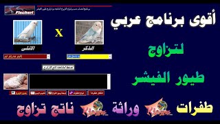 أقوى برنامج لمعرفة طفرات الفيشر وناتج تزاوجها