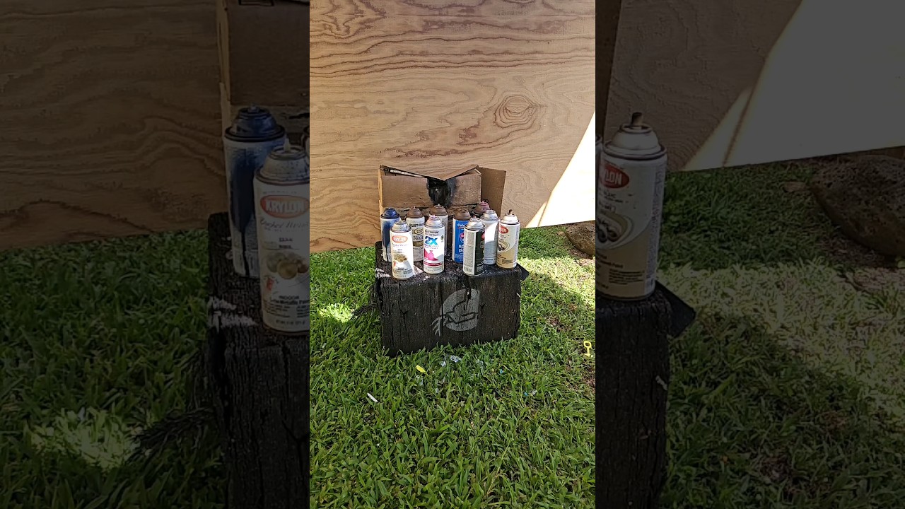 FULLY AUTO BB GUN VS 10 CANS SPRAY PAINT