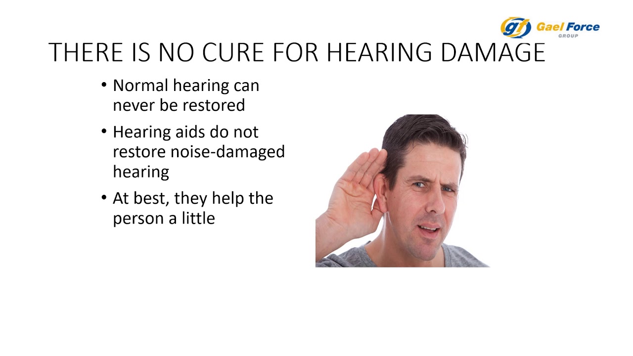 Noise Hearing Protection YouTube