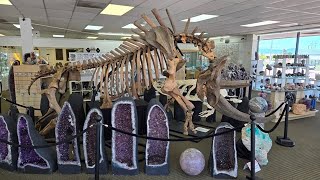 Visit our store Geofossiles Rock Shop Colorado Springs fossil, minerals, gems, jewelry