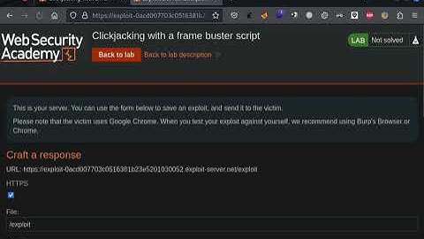 16.3 Lab: Clickjacking with a frame buster script | 2023