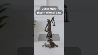 Customary International Law