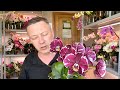 маленькие орхидеи уход подкормка и НАРАЩИВАНИЕ КОРНЕЙ БЕЗ ТАНЦЕВ С БУБНАМИ