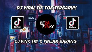 DJ PINK TRY X PINJAM BARANG TERBARU VIRAL🎶🎶 REMIX BY SCARLET FVNKY