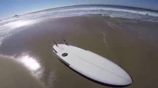 VESL Surfboard - 5'8 Blackies Shortboard
