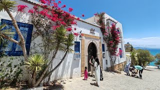 Sidi Bou Said | The most picturesque village in Tunisia