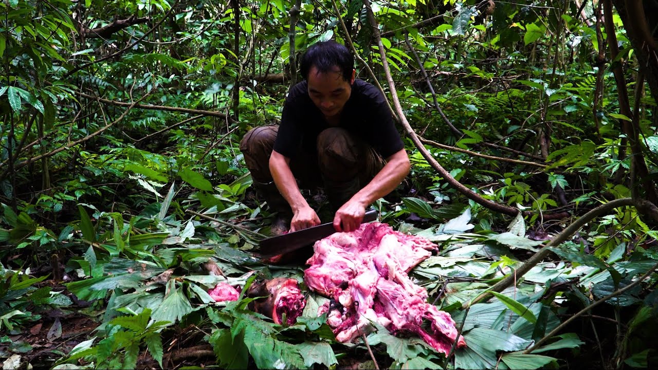 FULL VIDEO: Another Six Months Fighting Nature – Building My Off-Grid Life