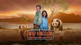 Mutual of Omaha’s Wild Kingdom Protecting the Wild Season 3 Trailer