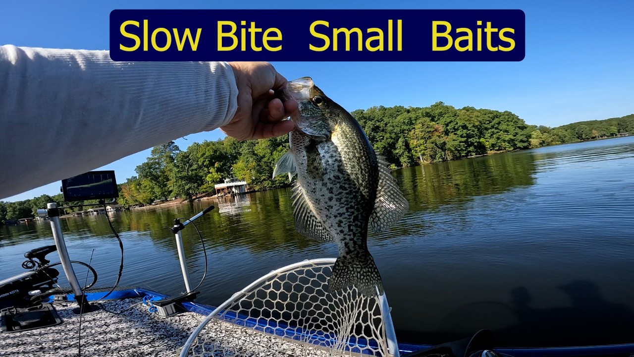 Tough  Bite  Challenge