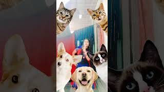 💃#dance #coolgadgets,🥰#smartappliances,#newgadgets,#kichengadgets,#homegadgets,#invitation AP 209🙏
