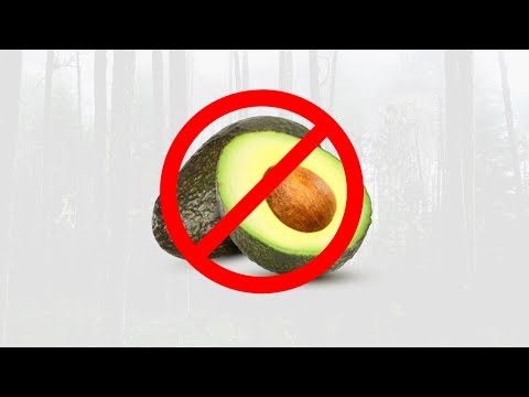 Video: Können Avocados gekühlt werden?