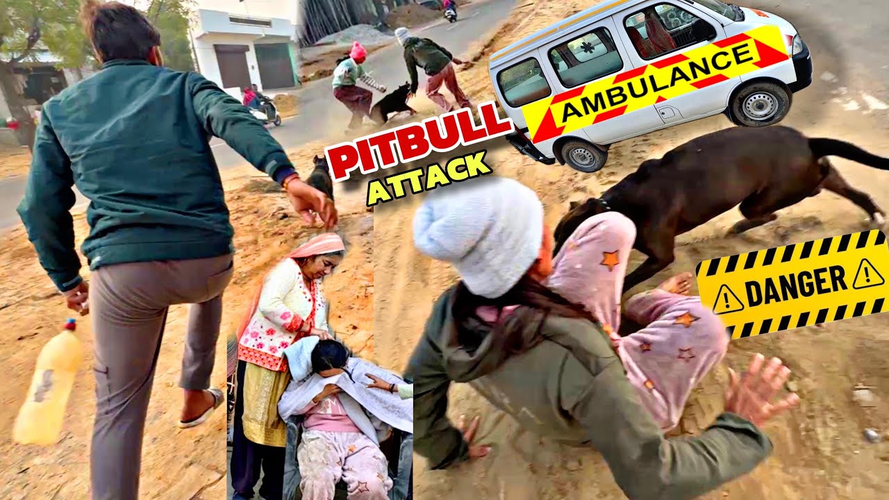 आज तो मुँह काला हो जाता 😓 Pitbull की सारी हदें पार 🙏🏼