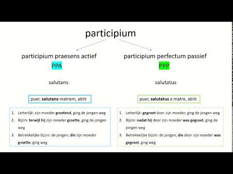 Latijnse grammatica: uitleg participium