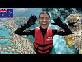 Experienta ireala la Marea Bariera de Corali! Ce am gasit aici, intrece Teleenciclopedia | Australia