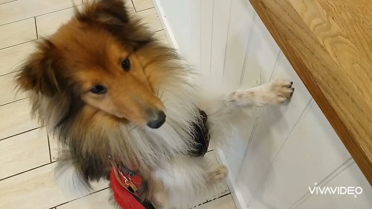 Branston 12/2/26 ❤️