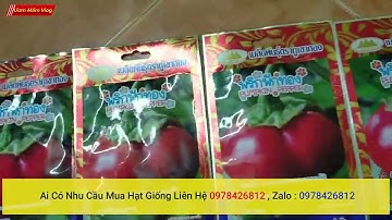 hạt giống ớt tròn bí ngô nhập khẩu thái lan nguyên bao bì ai mua liên hệ shop , giao hàng toàn quốc