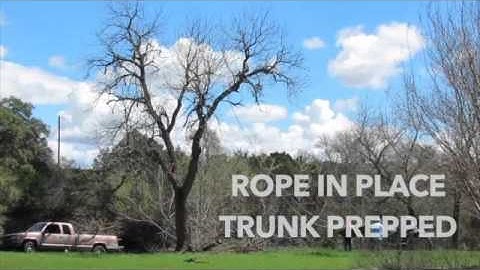 Tree Limb Trim with Rope, Tractor and chain saw