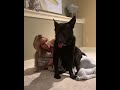 90 Day Fiance: Stephanie Davison and her 100 pound lap dog!!