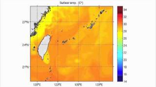 Sea surface temperature simulation of the area near Okinawa