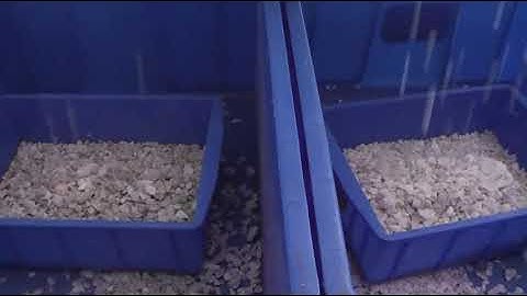 quartz stone color sorter