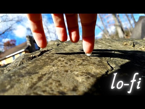 lo-fi nature ASMR | Not to brag but this one is pretty good!🤓Mostly Scratching - Screen Taps & More!