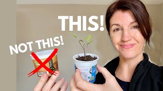 STARTING SEEDS INDOORS & What Works EVERY Time! by Now Gardening 295,958 views 1 year ago 6 minutes, 31 seconds