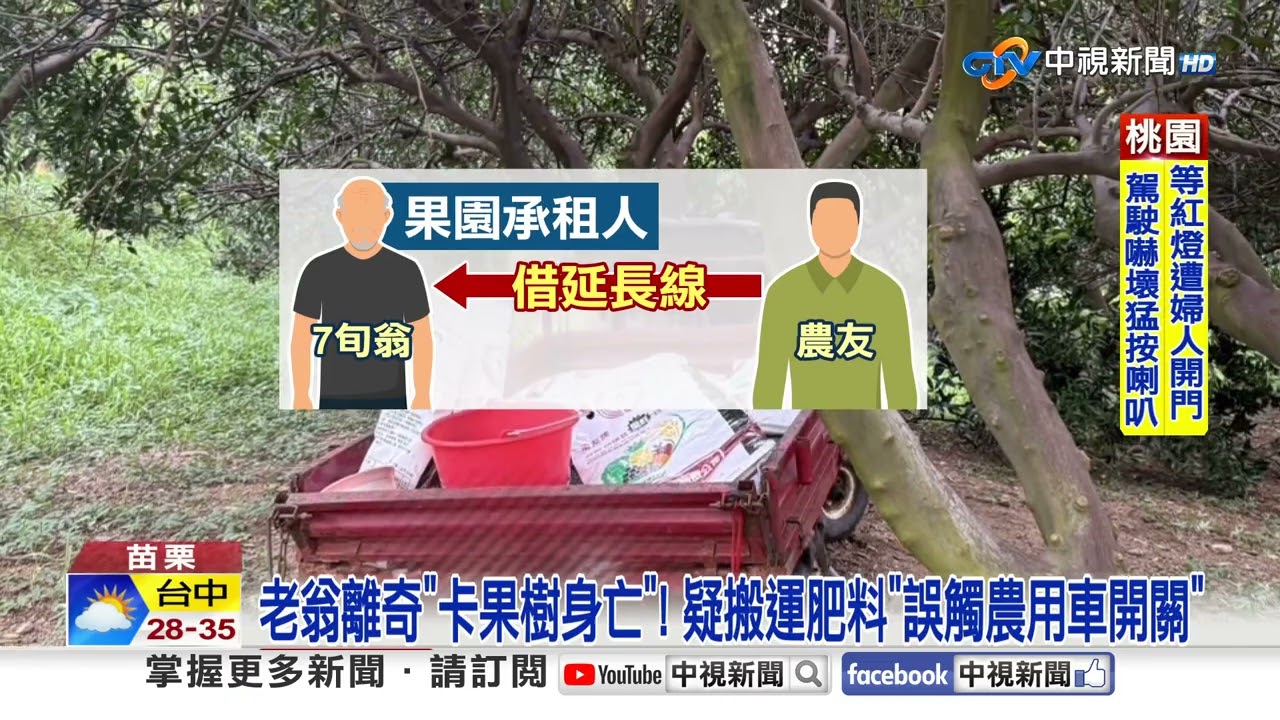 樹與老翁 老翁離奇
