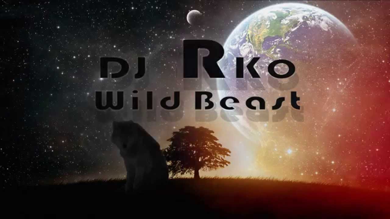 Wild Beast - DJ RKO