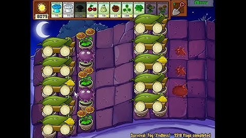 Pumpkinless 10 Cob | Moon Endless