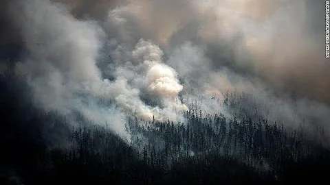 Wildfires are getting more extreme and burning more land. The UN says it's time to learn to 'live w