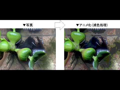 【Python】写真をアニメ化する