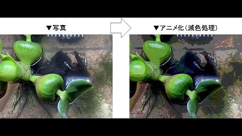 【Python】写真をアニメ化する