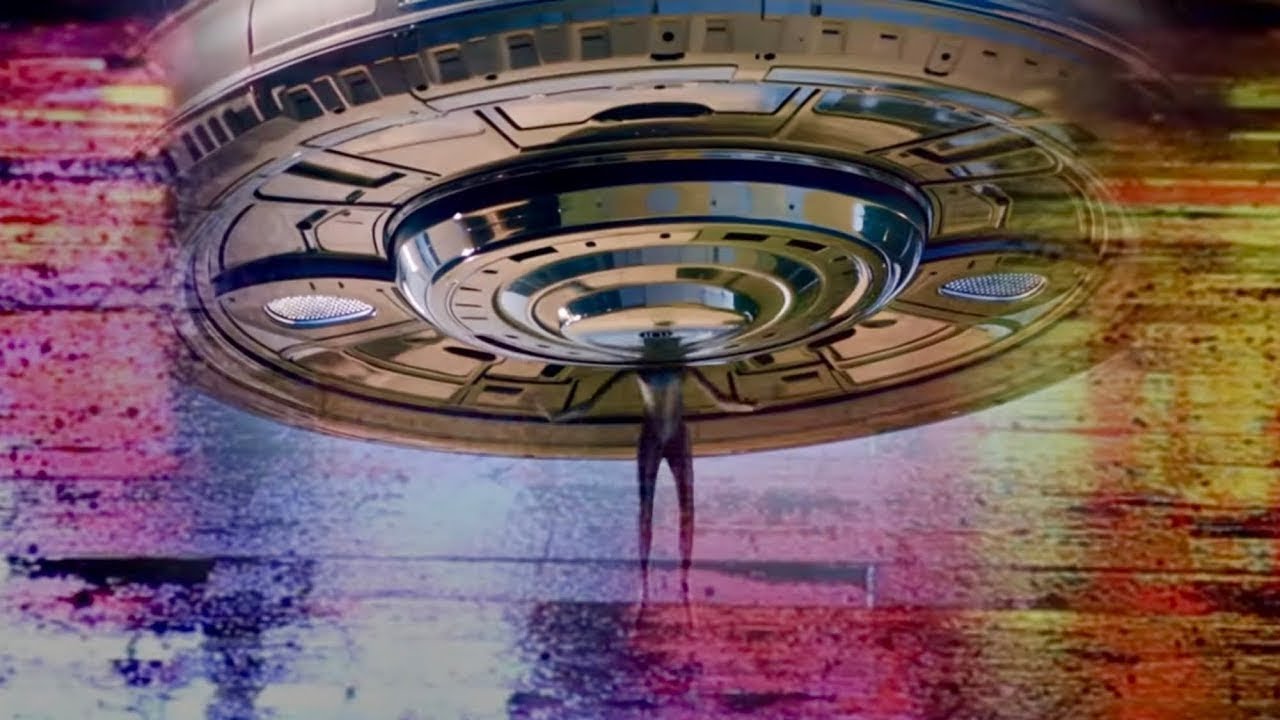 Shaman Dot Execute Dot Calm - Dorsal Fin