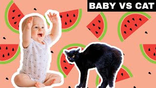 BABY VS CAT FUNNY CUTE FIGHT VIDEO 2021 by Cute animal things 52 views 2 years ago 5 minutes, 5 seconds