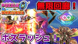 【パズドラゼロ】無限回廊登場！！ようやく解禁された火オデドラを入れた多色で破壊していく！