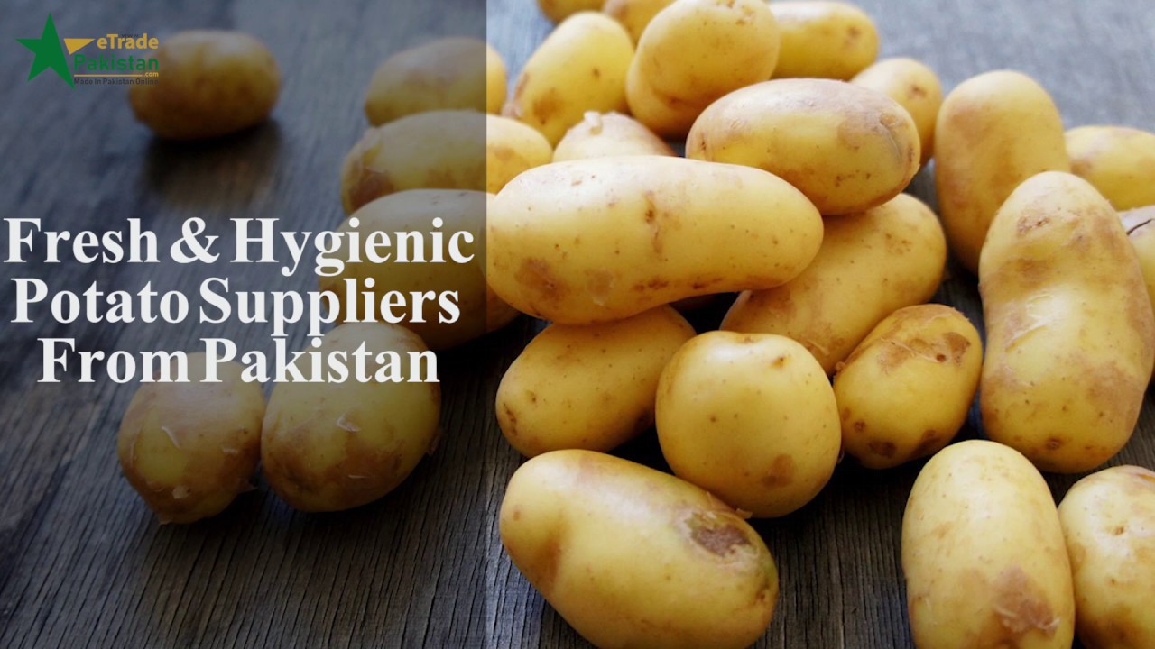 Fresh and Sweet Potato Wholesale Suppliers from Pakistan Saremco Impex Pvt Ltd YouTube