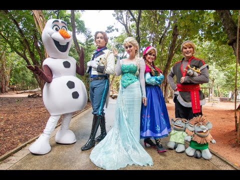 Vídeo: Plano de jogo para conhecer Elsa e Anna na Disney World