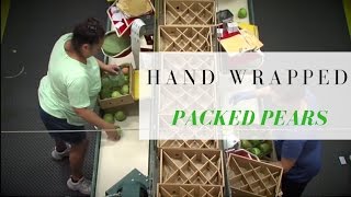Royal Riviera® Pear Hand Picked and Boxed