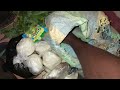 A Parcel of Love by Ojile Samuel Kelechukwu